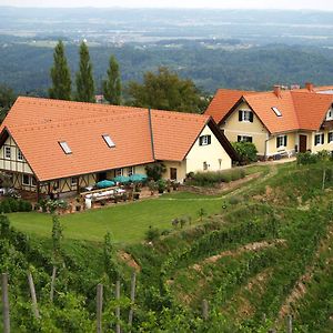 Bed and Breakfast Weingut Albert, Familie Cramer Kitzeck im Sausal Exterior photo