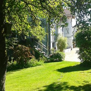 Anna - neue Ferienwohnung mit Blick ins Grüne Ober-Abtsteinach Exterior photo