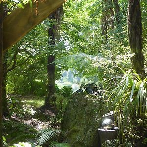 Bed and Breakfast Mount Tutu Eco-Sanctuary Ohauiti Exterior photo