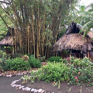 Hotel Cabinas Los Cocos Zancudo Exterior photo