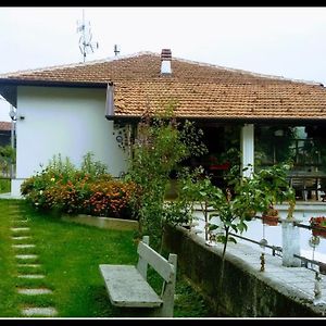 Villa Al Cios Lago Maggiore Orino Exterior photo