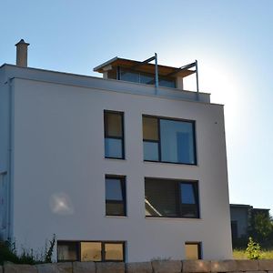 Villa Designerhaus mit Dachterrasse Nittendorf Exterior photo