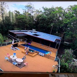 Bed and Breakfast Where The Forest Meets The Sea On The Gold Coast Tallebudgera Exterior photo