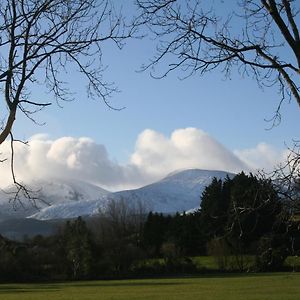 Tuck Mill Cottage Castlewellan Exterior photo