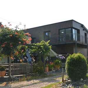 Wein&Gästehaus Porten-Becker Köwerich Exterior photo