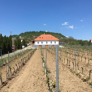 Hotel Somlo Kolonics Kuria Somlovasarhely Exterior photo