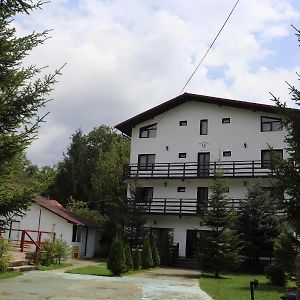 Hotel Pensiunea Q Fieni Exterior photo