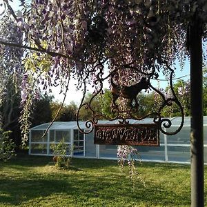 Bed and Breakfast La Ferme du Bien Etre Athée-sur-Cher Exterior photo