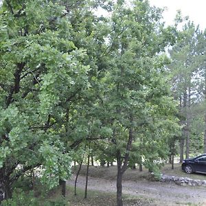 Villa Kuca Za Odmor Krasic Donje Prekrizje Exterior photo