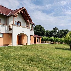 Villa Vinox Winery Vinica Exterior photo