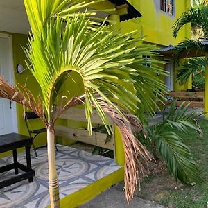 Ferienwohnung Tha Lagoon Spots Cool Vybz Port Antonio Exterior photo