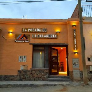 Hotel La Posada De La Calandria Purmamarca Exterior photo