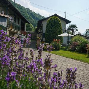 Bed and Breakfast Bed & Breakfast Ai Fontana Villar Pellice Exterior photo