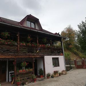 Hotel Casa Cozorici Sadová Exterior photo