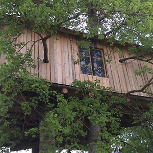 Villa Treehouse Magpies Nest With Bubble Pool Avesta Exterior photo