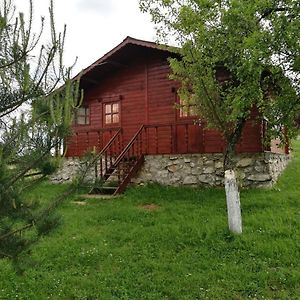 Hotel Pensiunea Gernik 100 Garnic Exterior photo