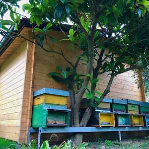 Ferienwohnung Beehouse - La Casa Delle Api Agriturismo Borso del Grappa Exterior photo