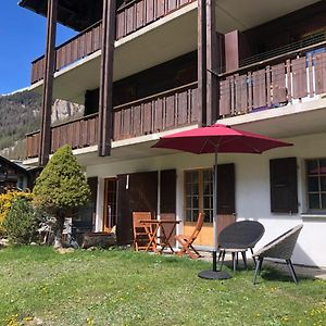 Ferienwohnung Le Cerf, Magnifique Studio Avec Jardin-Terrasse Et Garage Evolène Exterior photo