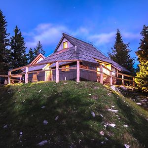 Villa Koca Bistra - Velika Planina Stahovica Exterior photo