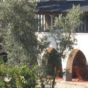 Villa Casa Ribeira De Pera Castanheira de Pera Exterior photo