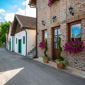 Gasthaus Podrumi Kolar "Suza Baranje" Kneževi Vinogradi Exterior photo