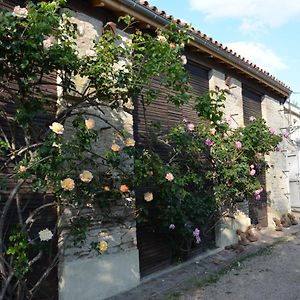 Bed and Breakfast La Maison Des Herons Le Vanneau-Irleau Exterior photo