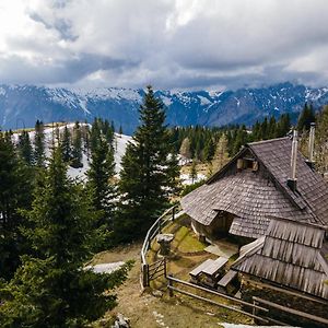 Villa Alpine Chalet Velika Planina - Irenca - I Feel Alps Stahovica Exterior photo