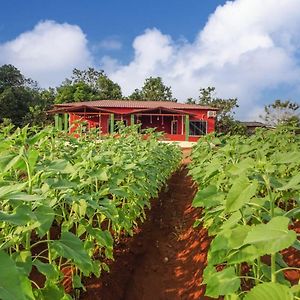 Bed and Breakfast Aarya Farm Bhom Exterior photo