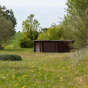 Villa La Decouverte, Jacuzzi, Sauna, Et Terrasse Avec Vue Sur Lac A La Campagne Entre Toulouse Et Auch Catonvielle Exterior photo