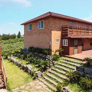 Villa Jeju Hanibaram Pension Exterior photo