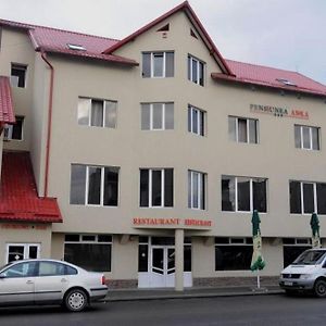 Hotel Pensiunea Anka Reghin Exterior photo