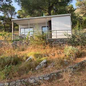 Hotel Lake View Shkodra Exterior photo