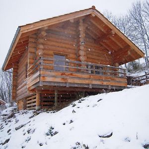 Villa Chalet Bois Chaleureux Avec Terrasse, Internet Et Animaux Acceptes - Fr-1-496-187 Saint-Martin-la-Sauvete Exterior photo