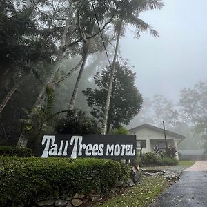 Tall Trees Motel Mountain Retreat Mount Tamborine Exterior photo