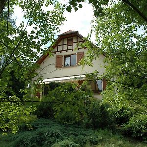 Bed and Breakfast Chambre Et Table D'Hotes Du Chant Des Sources Wangenbourg-Engenthal Exterior photo