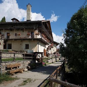 Ferienwohnung Sci E Montagna Vera Pragelato Exterior photo