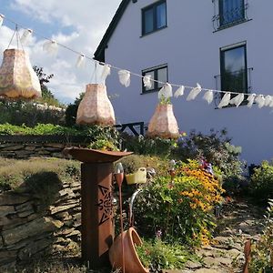 Ferienwohnung Im Erzgebirge Wandern, Fahrrad fahren oder entspannen Ehrenfriedersdorf Exterior photo