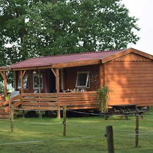 Ferienwohnung Tiny House Het Reebokje Vriescheloo Exterior photo