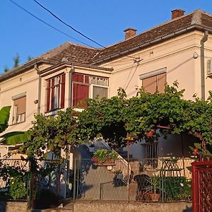 Ferienwohnung Apartman Stojanovic Paraćin Exterior photo