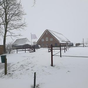 Ferienwohnung Landelijk Gelegen Boerderij Aan De Pothofweg Anevelde Exterior photo