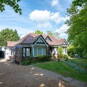 Pinewood Cottage Self Catering Apartments And Studio Apartments Lyndhurst Exterior photo