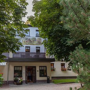 Waldgasthof & Hotel Am Sauwald Tannenberg Exterior photo