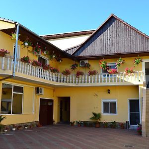 Hotel Pensiunea Alexander Arad Exterior photo