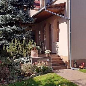 Hotel Kenguru Panzio Hódmezővásárhely Exterior photo