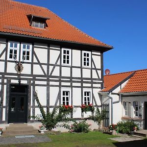 Ferienwohnung Forsthaus in Waldhessen Bauhaus Exterior photo