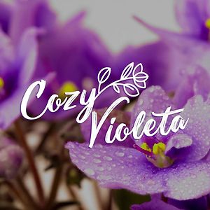 Cozy Violetas Apartment,Ideally Located. Ialysos  Exterior photo