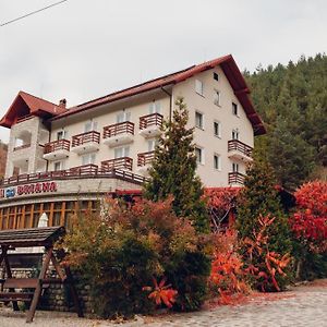 Hotel Vila Briana Păltiniş Exterior photo