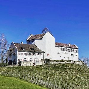 Hotel&Restaurant Schloss Schwandegg Oberstammheim Exterior photo