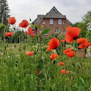 Ferienwohnung ehemalige Revierförsterei Morgensünn Kuhstorf Exterior photo