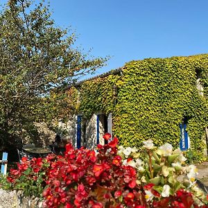 Villa Un Gite Authentique A La Mer Saint-Froult Exterior photo